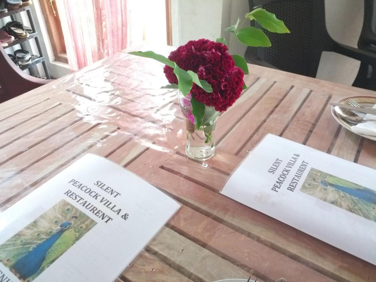 Silent Peacock Villa And Peacock Cafe 탕갈레 외부 사진